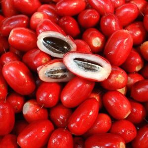 Miracle Fruit