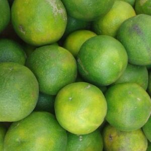 Musambi